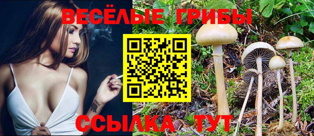 Азов  Галлюциногенные грибы Magic Shrooms  Вход с VPN 